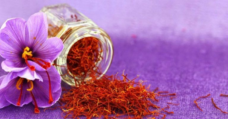 8 Food Items to Fight Winter Chills