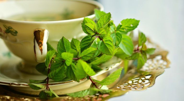 superfoods fight fatigue