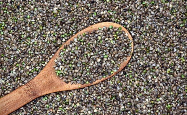 Hemp Seeds