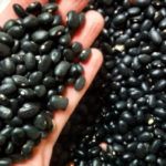 For better health, add Black Foods to your Diet