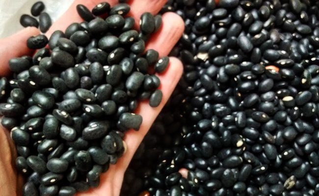 For better health, add Black Foods to your Diet