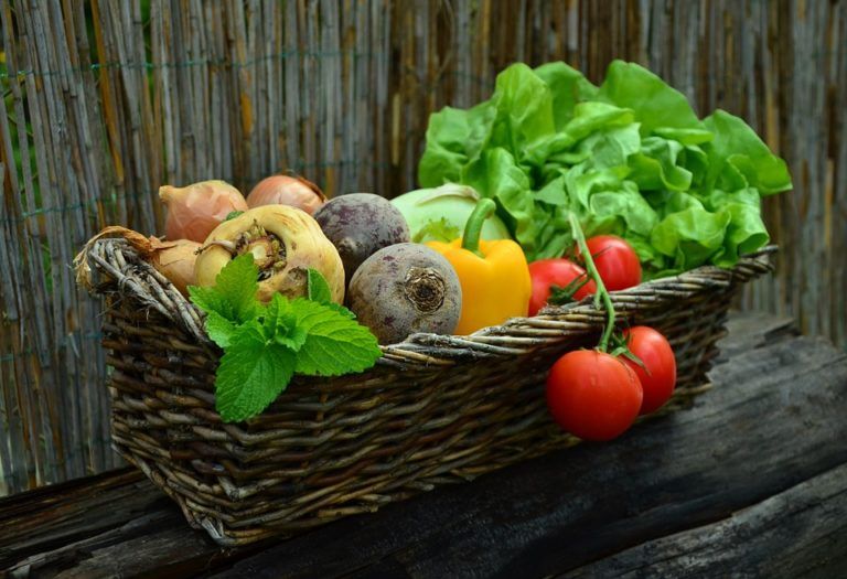 Chinese Giving up Meat to Turn Vegetarian!