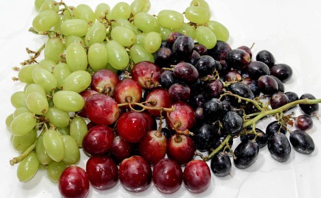 Grapes