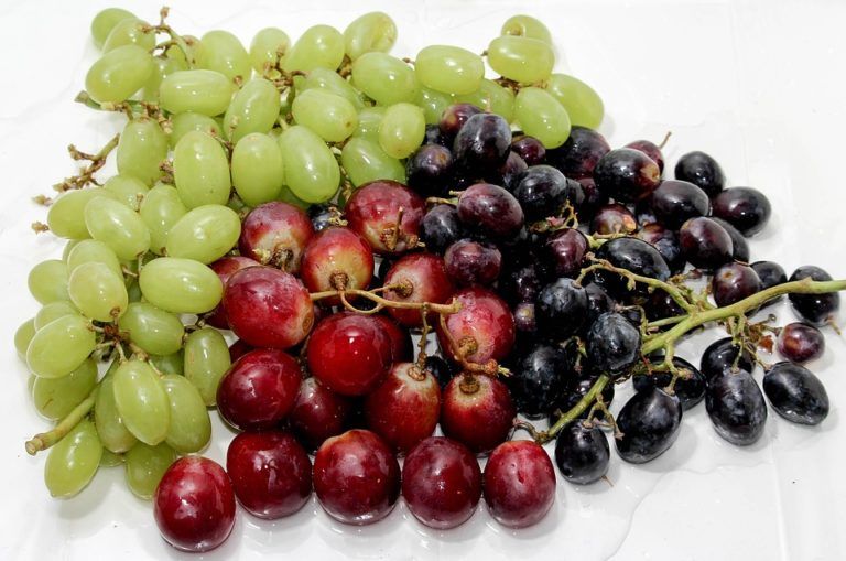 Grapes
