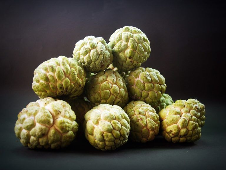 Custard apple
