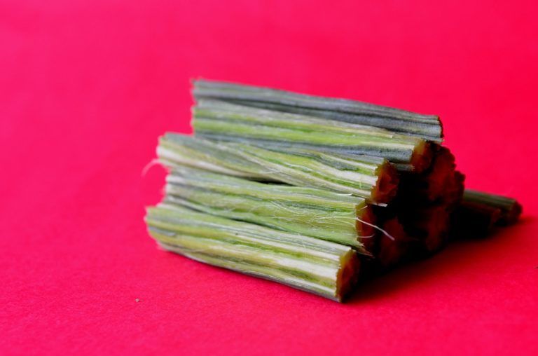 Amazing Benefits of Moringa