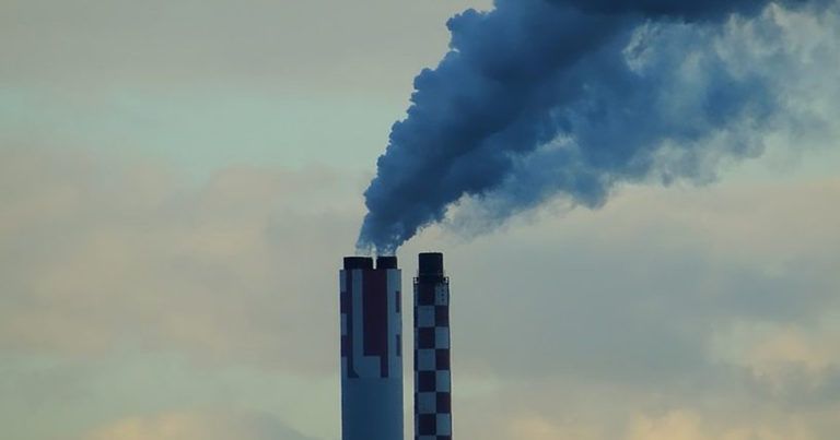 How to Protect Yourself from Air Pollution Allergies