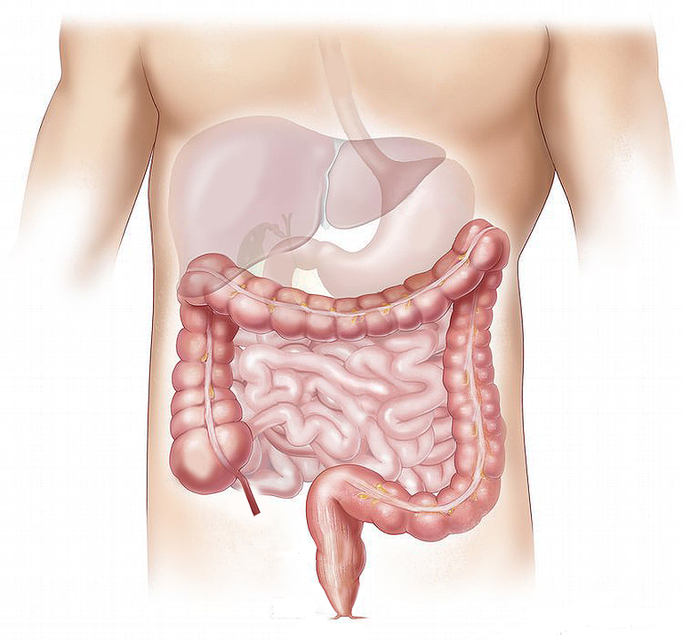 Foods That Are Good for Your Liver