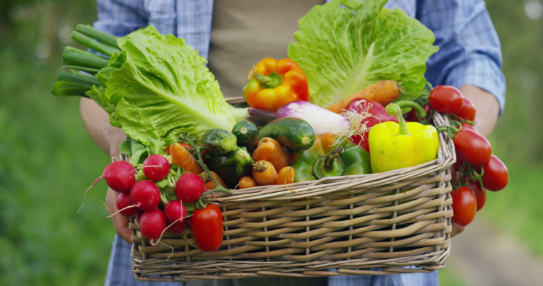Vitamins and Minerals to Boost your Immune System