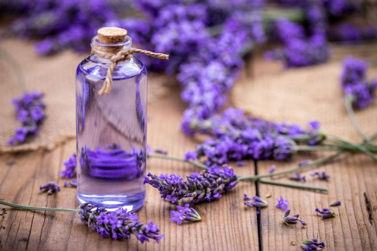 Magical Benefits of Lavender Oil!