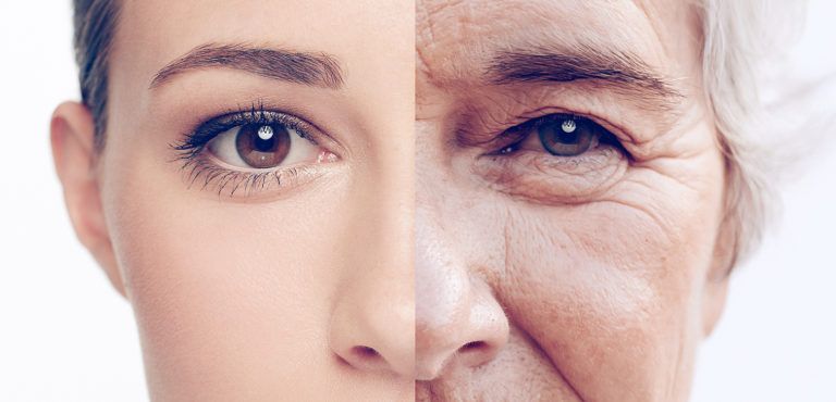 Food Items That Boost Collagen Production