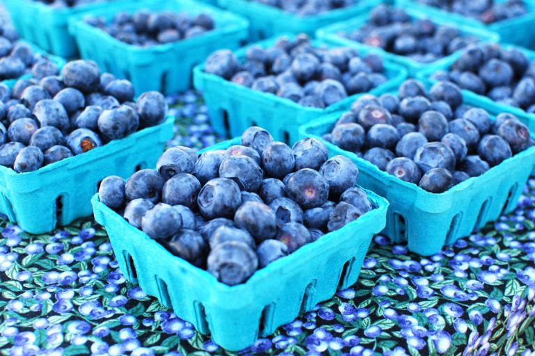 Why Women Should Include Blueberries in their Diet