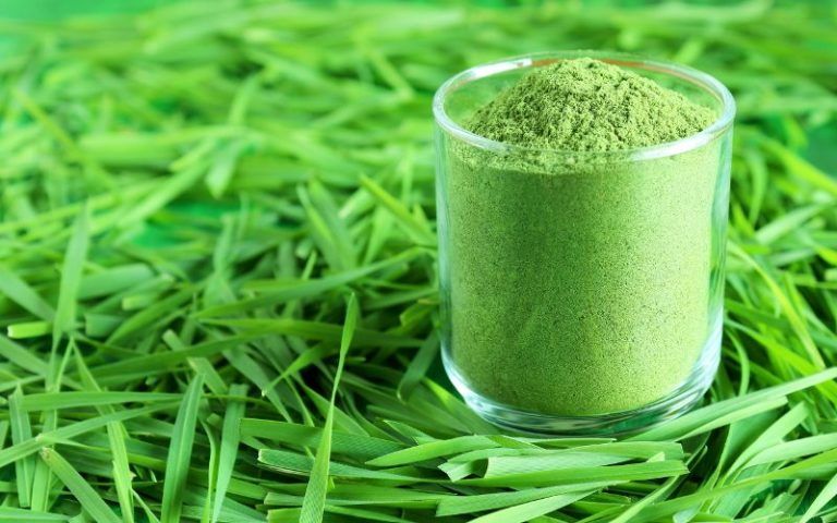 Best Ways to Consume Wheatgrass