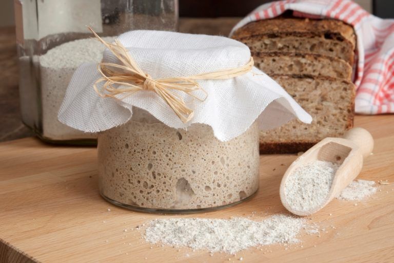 sourdough bread starter