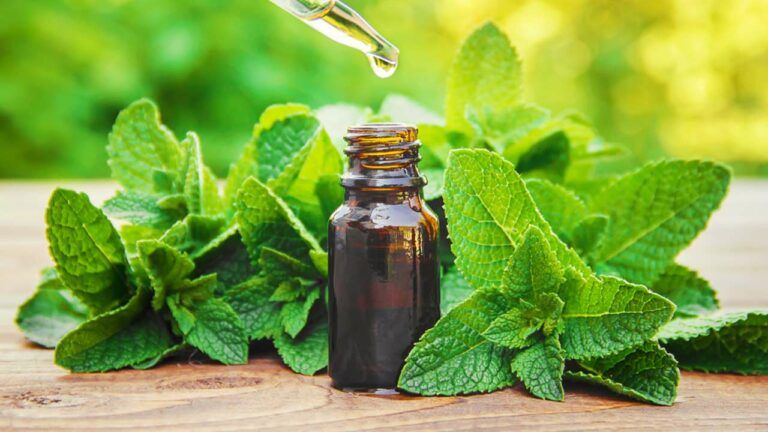 Benefits of Peppermint for Skin and Hair
