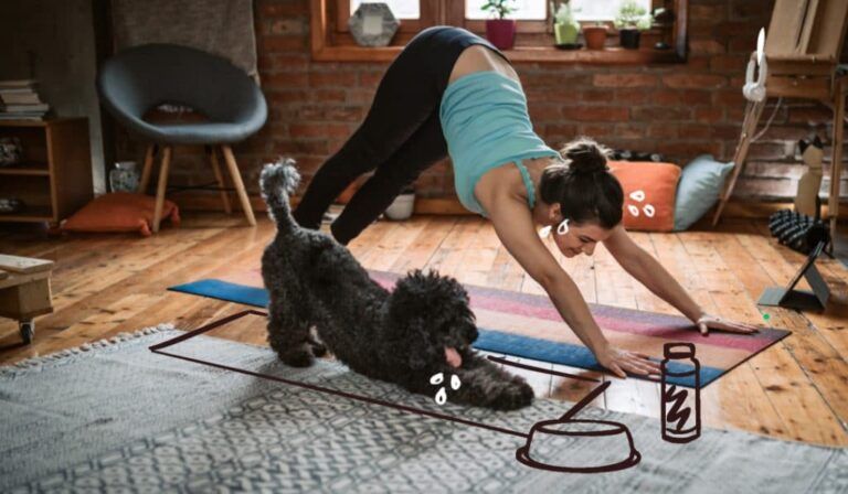 Workouts You Can Do With Your Dog