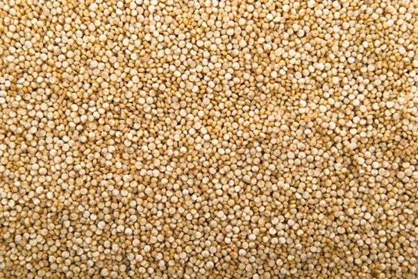 Quinoa-Best-food-for-bulking 