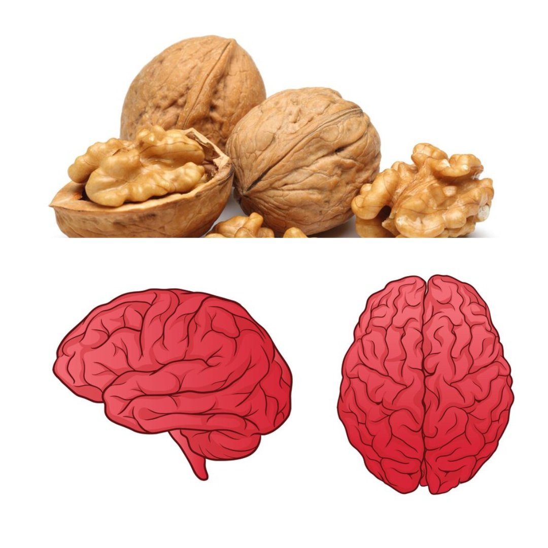 Walnut-for-Brain